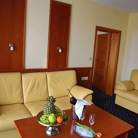 Primavera & Congress Centre Готель Плзень